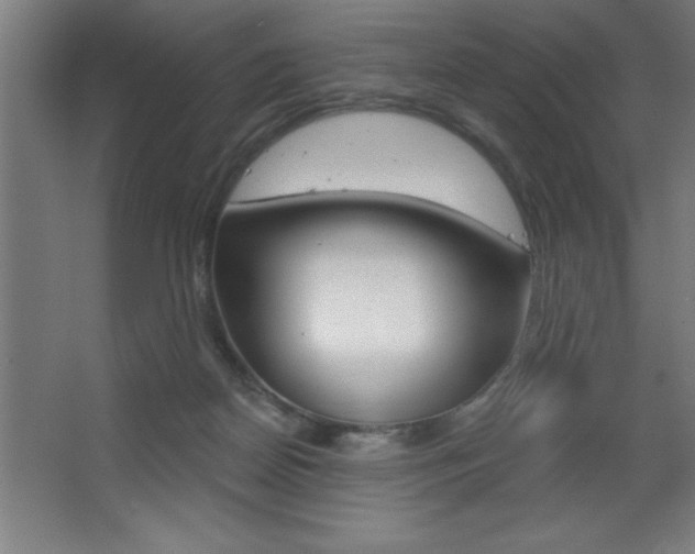 X0000068720170200604280933