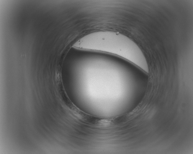 X0000068720176200604280933