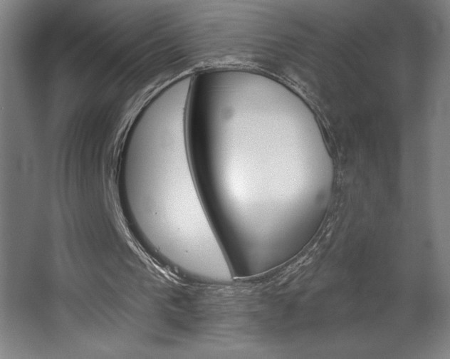 X0000068720193200604280933