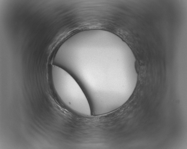 X0000068720194200604280933