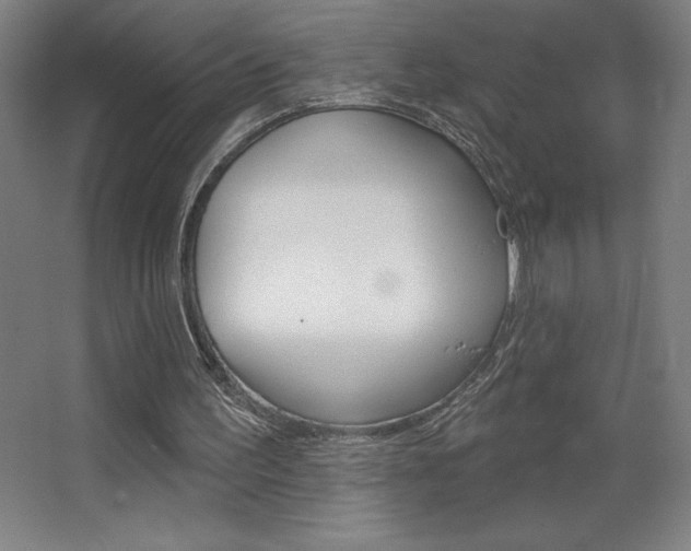 X0000068720195200604280933