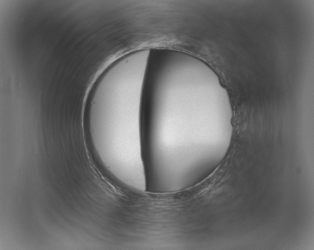 X0000068720196200604280933