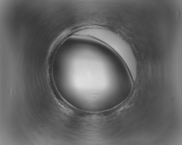 X0000068720197200604280933