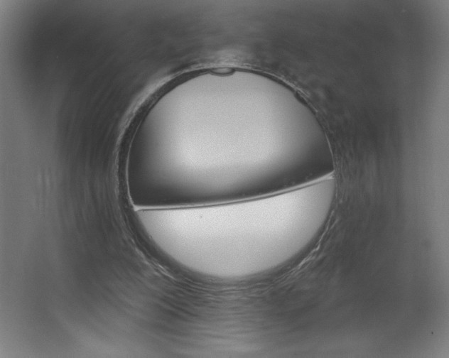 X0000068720200200604280933
