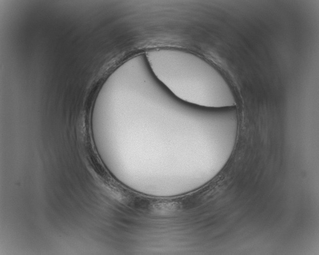 X0000068720202200604280933