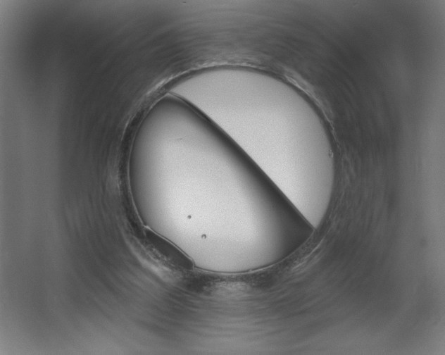 X0000068720203200604280933