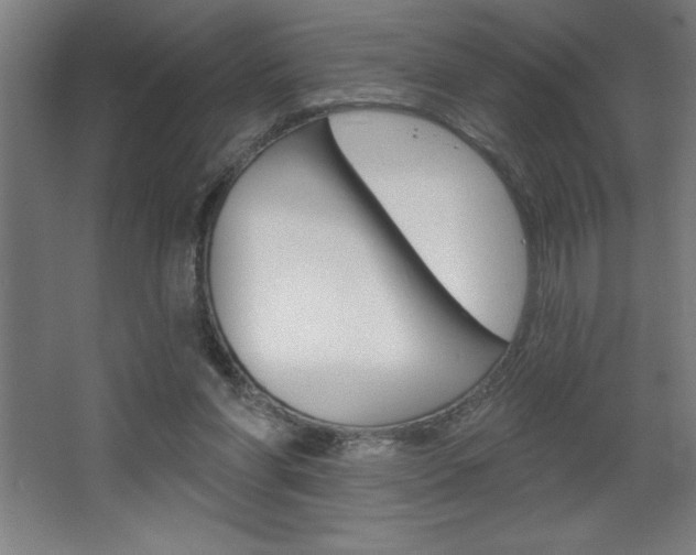 X0000068720206200604280933