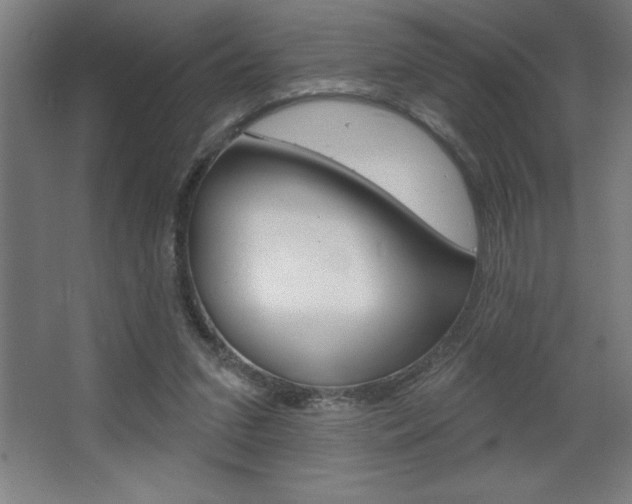 X0000068720207200604280933
