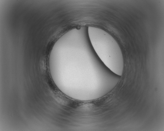 X0000068720210200604280933