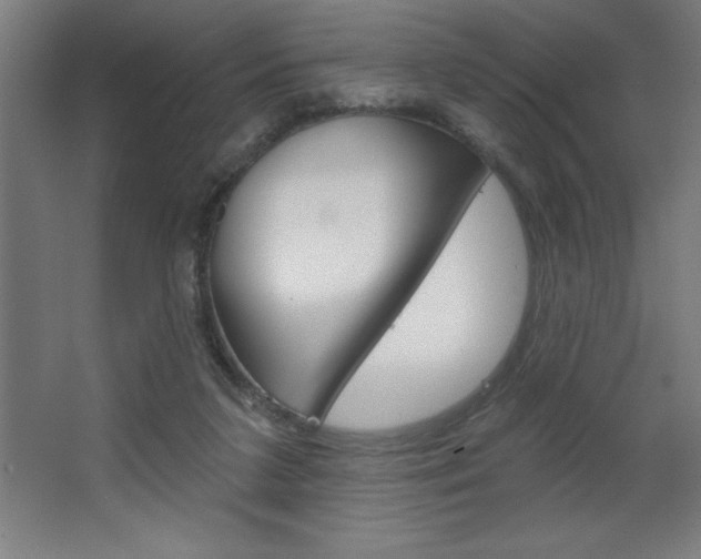 X0000068720211200604280933