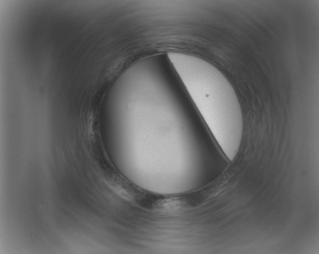 X0000068720219200604280932