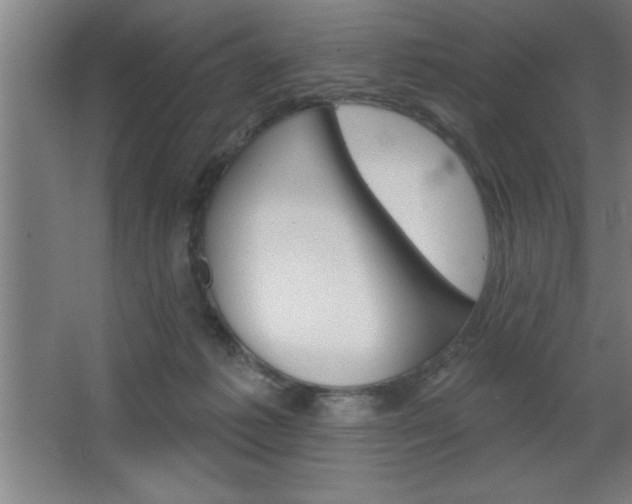 X0000068720221200604280932
