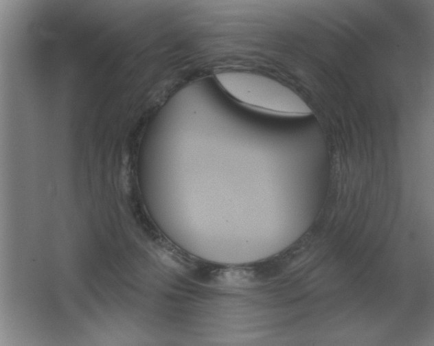 X0000068720223200604280932