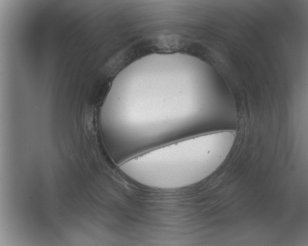 X0000068720233200604280932