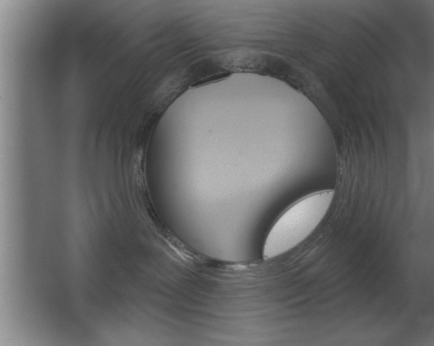 X0000068720239200604280932
