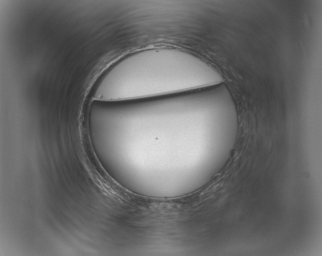 X0000068720242200604280931