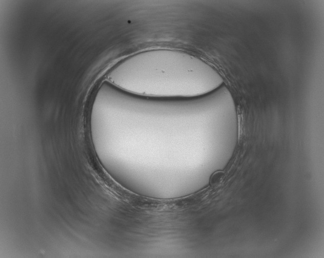 X0000068720243200604280931