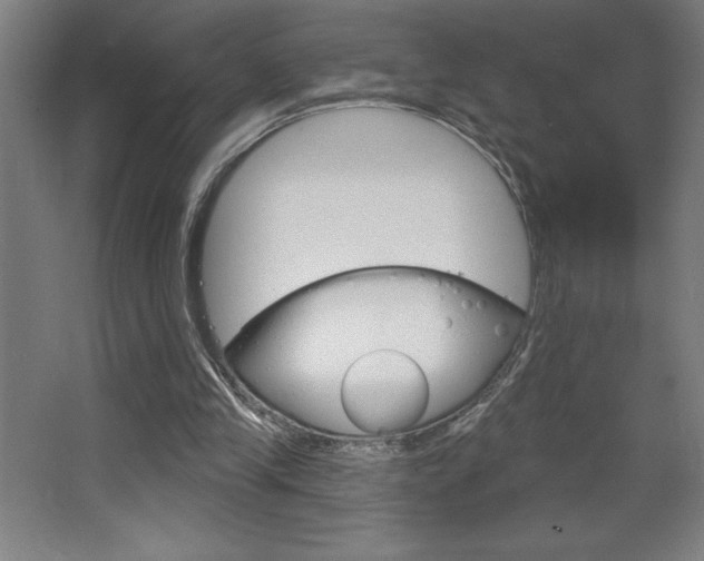X0000068720245200604280931