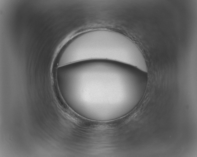 X0000068720246200604280931