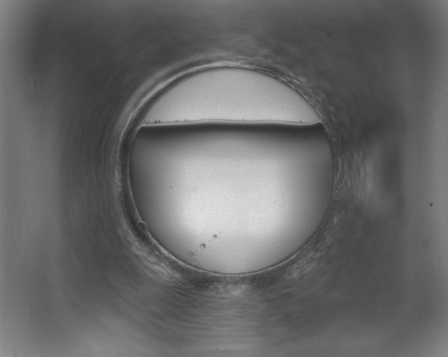 X0000068720247200604280931
