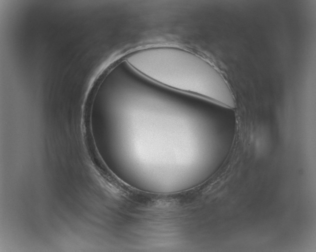 X0000068720248200604280931