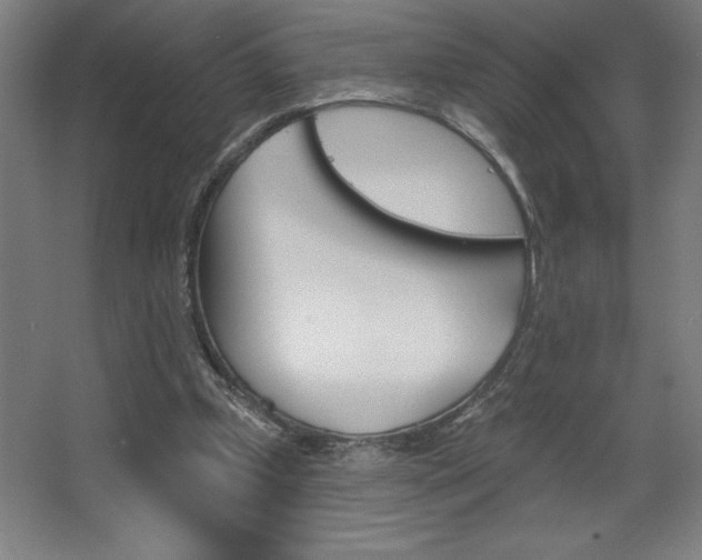 X0000068720249200604280931