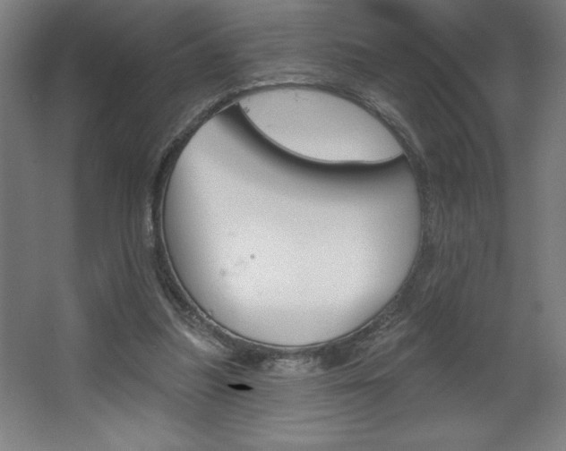 X0000068720251200604280931