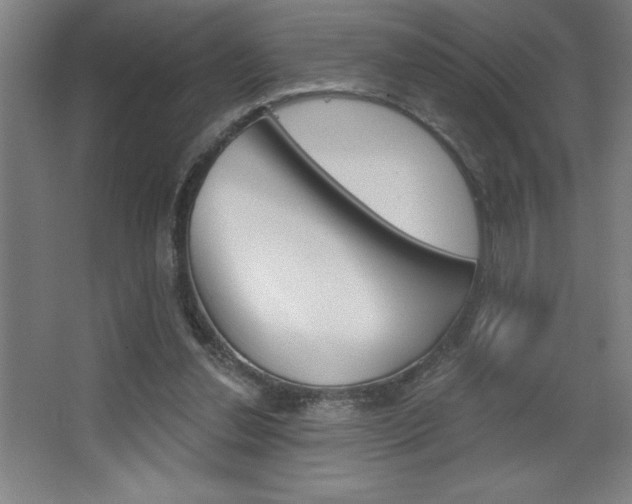 X0000068720252200604280931