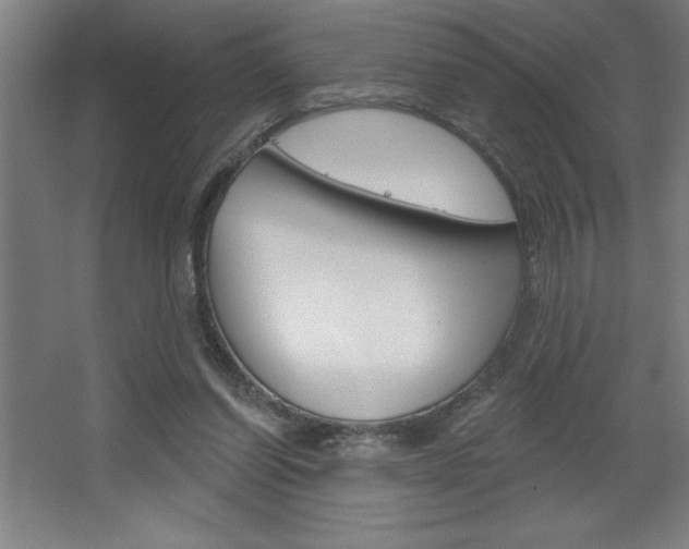 X0000068720254200604280931