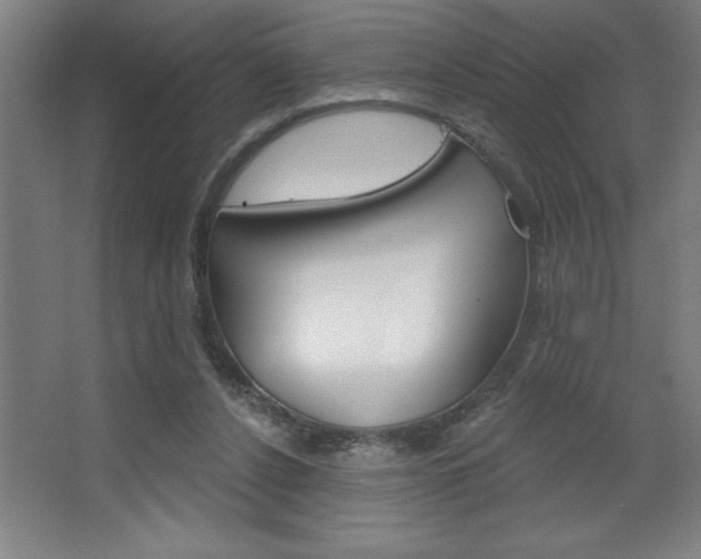 X0000068720256200604280932