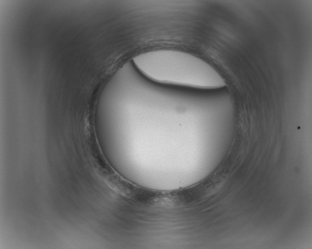 X0000068720259200604280932