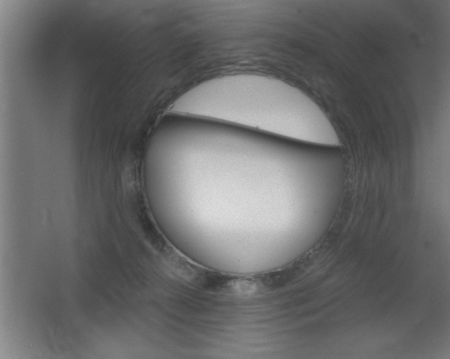 X0000068720272200604280932