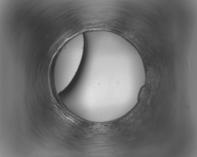 X0000068720290200604280931