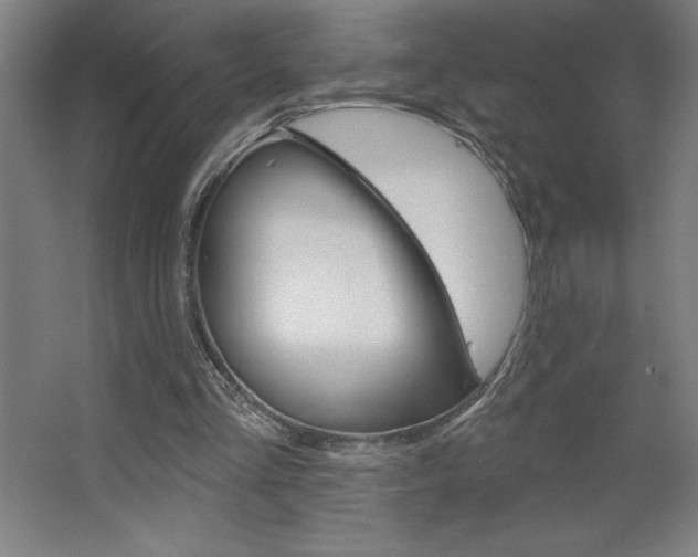X0000068720293200604280931