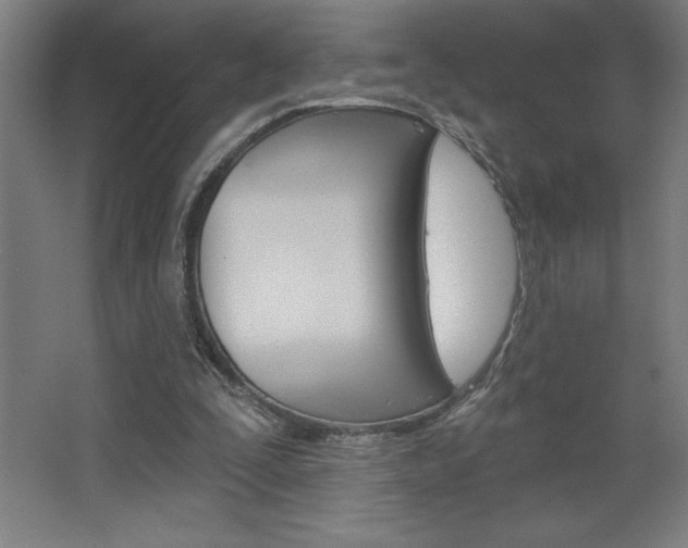 X0000068720295200604280931