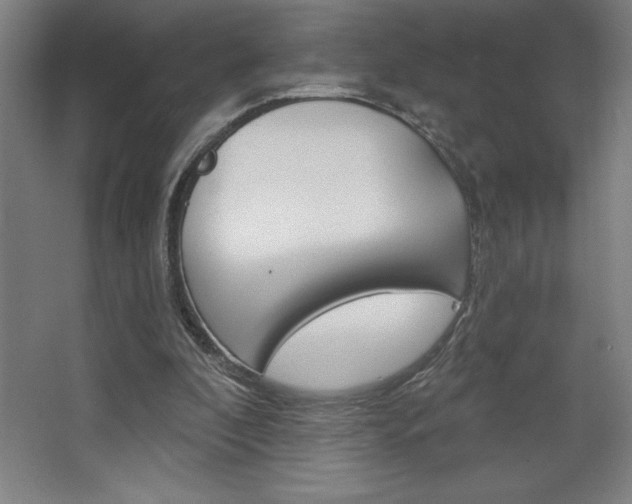 X0000068720296200604280931