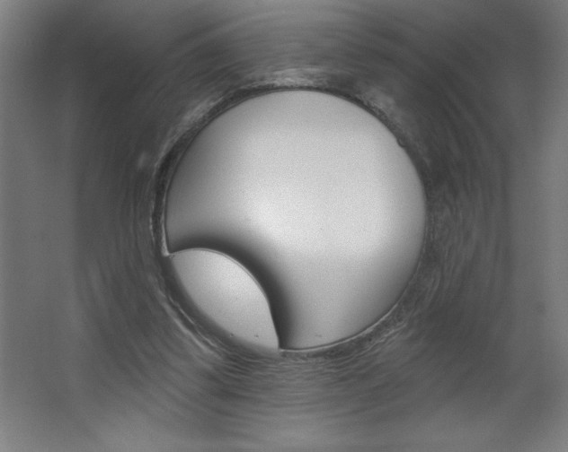 X0000068720299200604280931