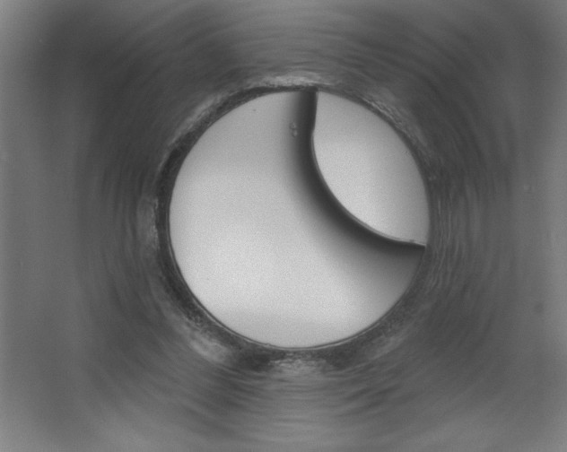 X0000068720300200604280931