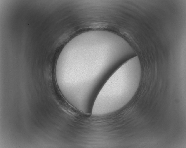 X0000068720303200604280931