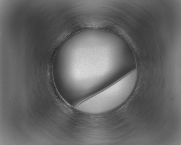 X0000068720305200604280931
