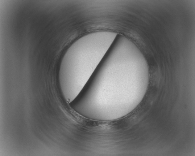 X0000068720310200604280931