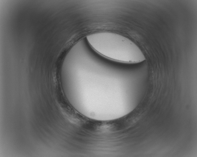 X0000068720312200604280931