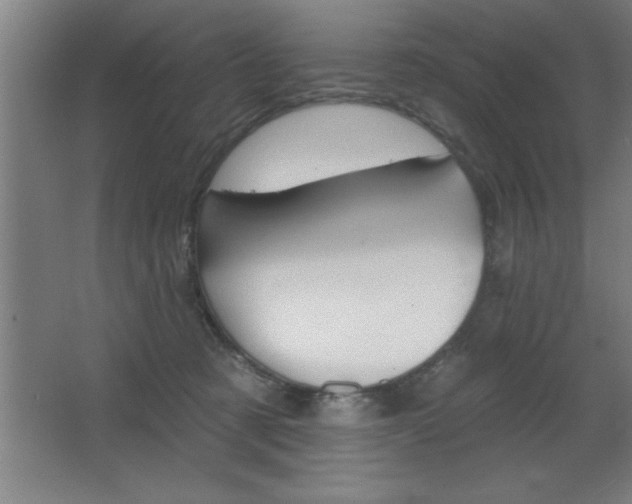 X0000068720321200604280931