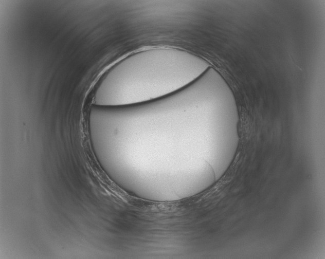 X0000068720338200604280930