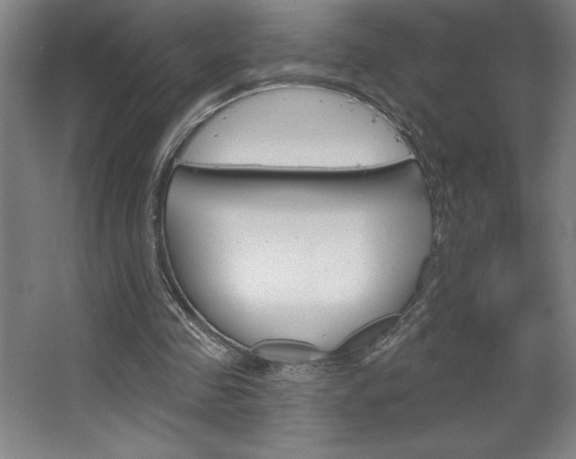 X0000068720341200604280930