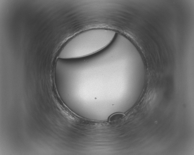 X0000068720345200604280930
