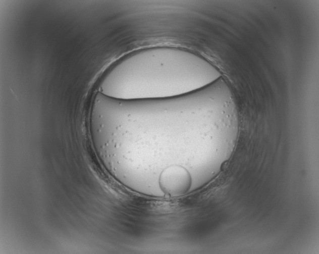 X0000068720347200604280930