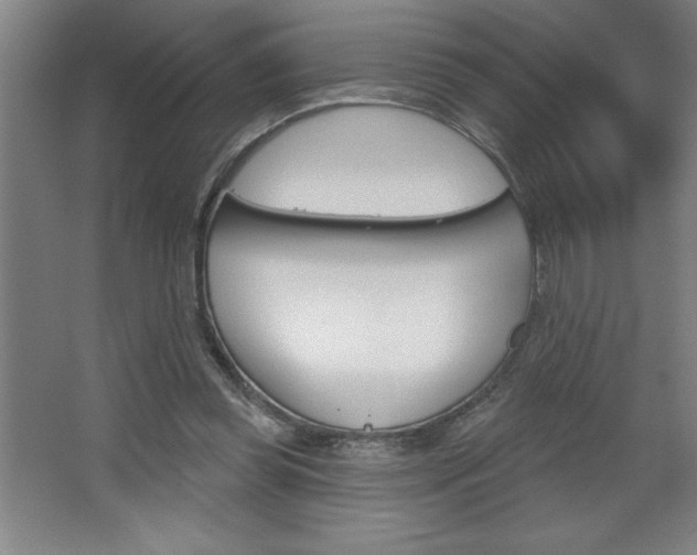 X0000068720349200604280930