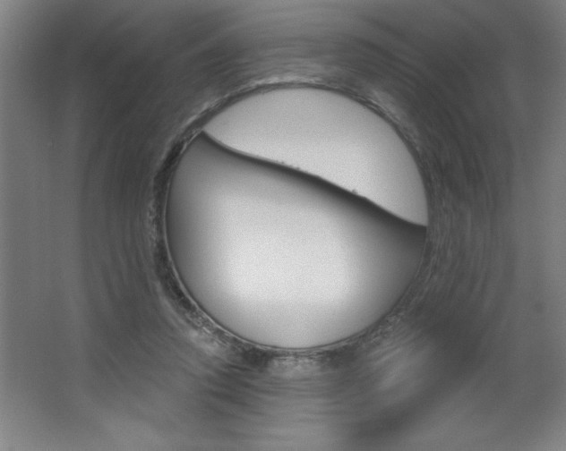 X0000068720354200604280930