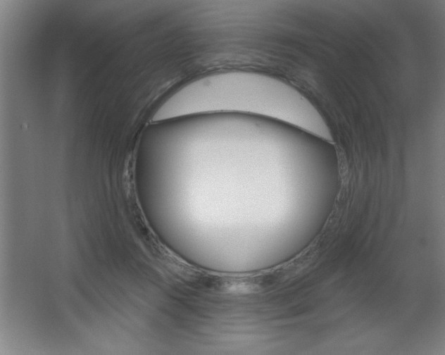 X0000068720360200604280930
